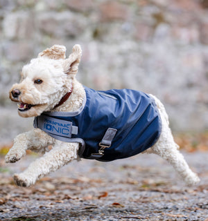 Manteau pour Chien Horseware® Ionic Therapy 50g