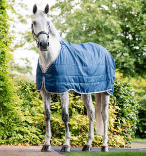 Doublure Thérapeutique Horseware® Ionic 50g