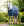 Couverture d’Écurie Thérapeutique Horseware® Ionic 50g