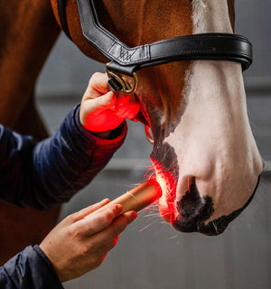 Baguette de Luminothérapie LED Rouge Horseware®
