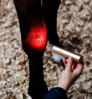 Baguette de Luminothérapie LED Rouge Horseware®