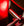 Baguette de Luminothérapie LED Rouge Horseware®