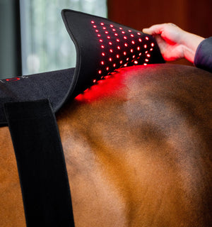 Tapis de Luminothérapie LED Rouge Horseware®