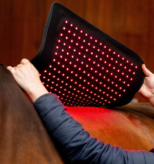 Tapis de Luminothérapie LED Rouge Horseware®