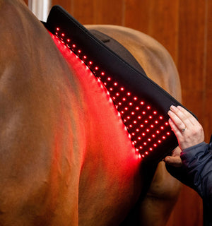 Tapis de Luminothérapie LED Rouge Horseware®