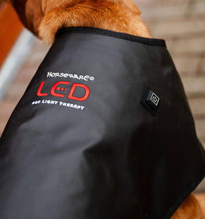 Manteau de Luminothérapie LED Rouge Horseware® pour Chien