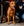 Manteau de Luminothérapie LED Rouge Horseware® pour Chien