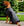 Manteau de Luminothérapie LED Rouge Horseware® pour Chien