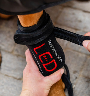 Guêtre de Luminothérapie LED Rouge Horseware® pour Chien
