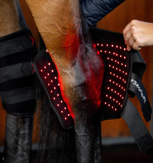 Protège-jarret de Luminothérapie LED Rouge Horseware®