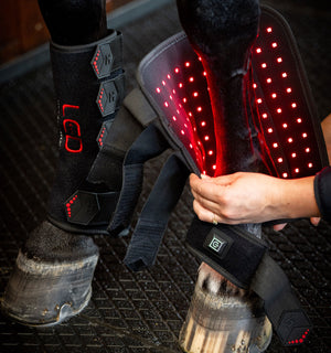 Guêtre de Luminothérapie LED Rouge Horseware®