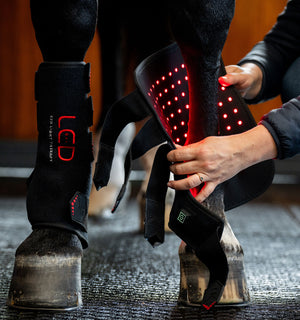 Guêtre de Luminothérapie LED Rouge Horseware®