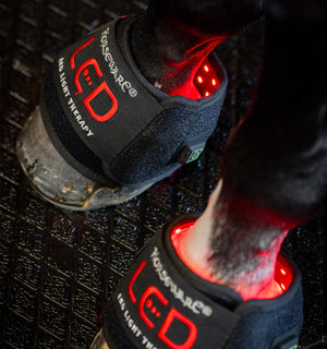 Mini Guêtre de Luminothérapie LED Rouge Horseware®