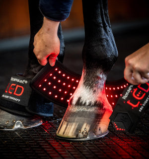 Mini Guêtre de Luminothérapie LED Rouge Horseware®