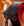 Bonnet de Luminothérapie LED Rouge Horseware® Poll Cap