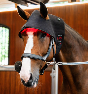 Bonnet de Luminothérapie LED Rouge Horseware® Poll Cap