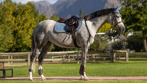 CSO Suede Square LeMieux szőnyeg