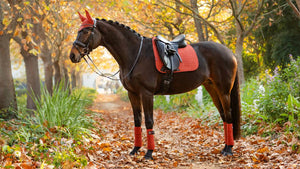 Le Mieux – Tapis de Dressage Suede Square LeMieux    | Sellerie Bucéphale