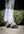 Woof Wear – Guêtres de travail Training Wrap Woof Wear Blanc 2 | Sellerie Bucéphale