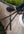 Woof Wear – Cravache Pro Showjumping Bat Woof Wear Black / Rose Gold 2 | Sellerie Bucéphale