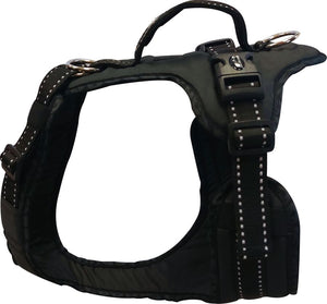 Harnais EASY PEASY Zero DC – black