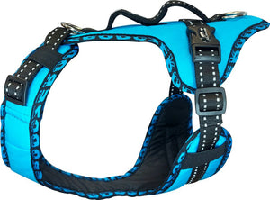Harnais EASY PEASY Zero DC – turquoise