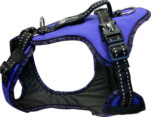 Harnais EASY PEASY Zero DC – purple