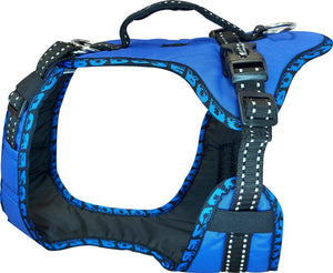 Harnais EASY PEASY Zero DC – blue