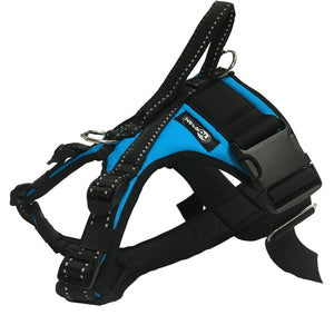 Harnais KODIAK Zero DC – turquoise