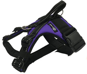 Harnais KODIAK Zero DC – purple