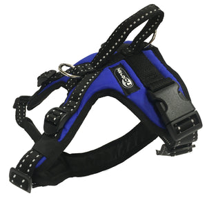 Harnais KODIAK Zero DC – blue