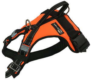 Harnais KODIAK Zero DC – neon orange