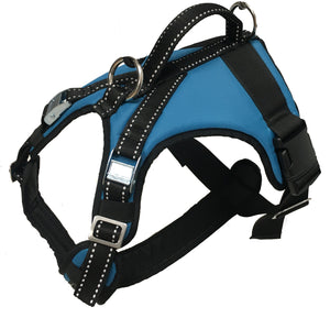 Harnais KODIAK Zero DC – petrol blue