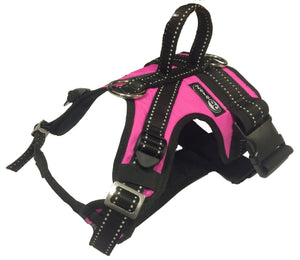 Harnais KODIAK Zero DC – pink