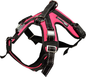 Harnais KODIAK Zero DC – neon pink