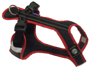 Harnais SHORT Zero DC – black+red