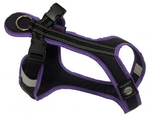 Harnais SHORT Zero DC – black+purple