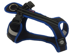 Harnais SHORT Zero DC – black+blue