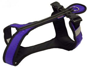 Harnais SHORT Zero DC – purple+black
