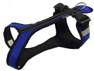 Harnais SHORT Zero DC – blue+black