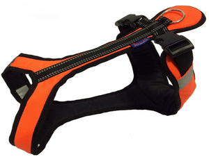 Harnais SHORT Zero DC – neon orange+black