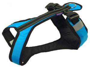 Harnais SHORT Zero DC – turquoise+black