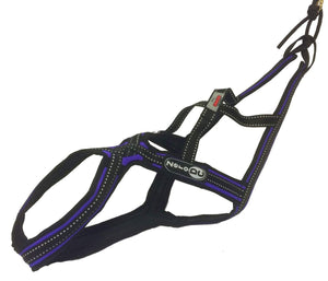 Harnais de traction CROSS DC Zero DC – purple+black