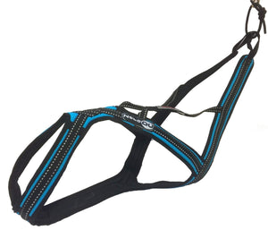 Harnais de traction CROSS DC Zero DC – turquoise+black