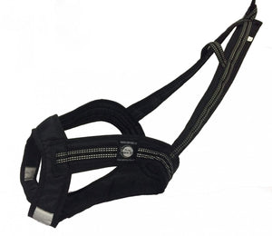 Harnais de traction FASTER Zero DC – black