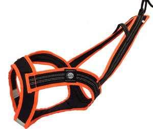 Harnais de traction FASTER Zero DC – black+neon orange