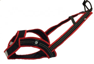 Harnais de traction FASTER Zero DC – black+red