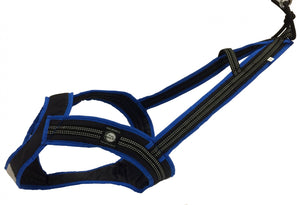 Harnais de traction FASTER Zero DC – black+blue