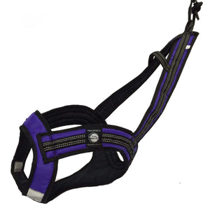 Harnais de traction FASTER Zero DC – purple+black