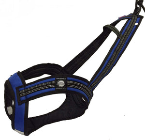 Harnais de traction FASTER Zero DC – blue+black